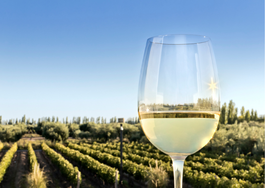 Portugiesische Weißweine – Frische Weine aus dem Südwesten