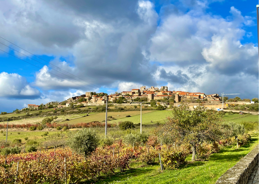 Beira Interior – Wo Portugals Weinberge hoch hinaus wollen