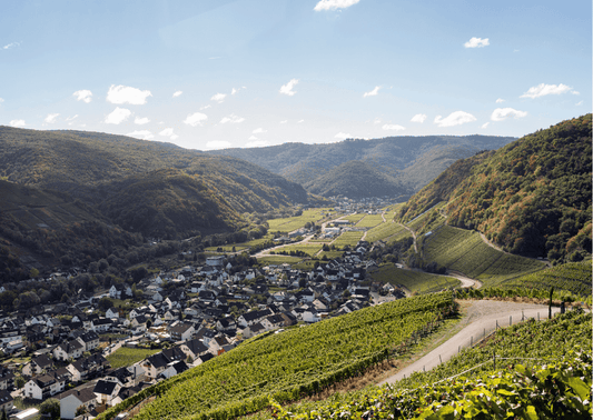 Weinregion Ahr - Eines der bekanntesten Weinbaugebiete