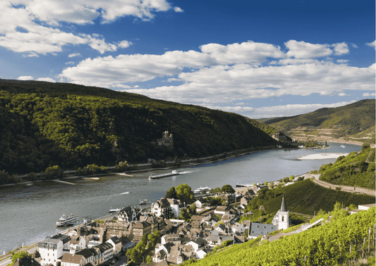 Sachsen – Wein aus Sachsen-Anhalt, der überzeugt