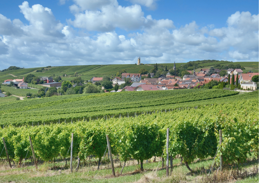 Weinregionen in Portugal: Land der geschmackvollen Reise