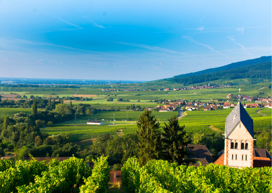 Elsass – Die charmante Rebellion französischer Weine aus dem Elsass