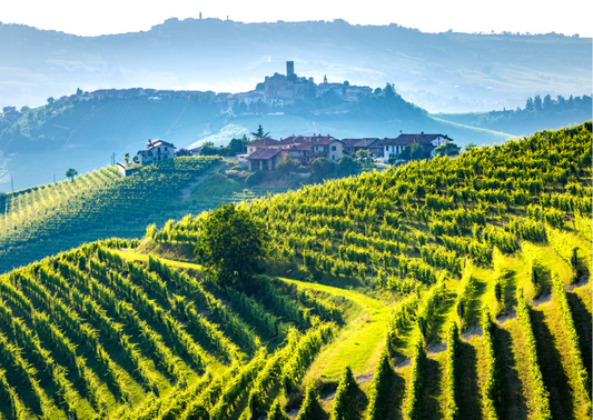 Weinregionen in Italien – Das köstliche Rebenmeer der Weinwunder