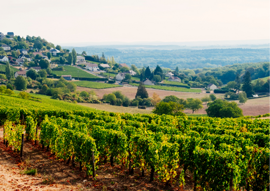 Loiretal – Weine aus der Loire, die zu einem Genussmoment einladen