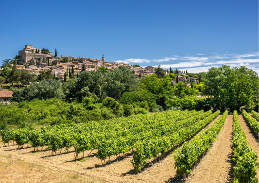 Luberon – Weine aus malerischen Gegenden