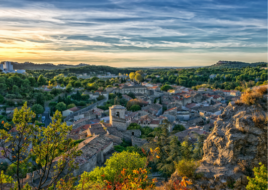 Provence – Wein aus der Provence, der dich entzücken wird