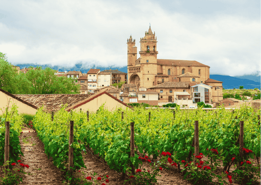 Rioja – Eine Weinregion Spaniens mit Temperament