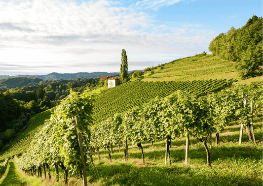 Nahe – Wo Wein von der Nahe auf Vulkangestein trifft