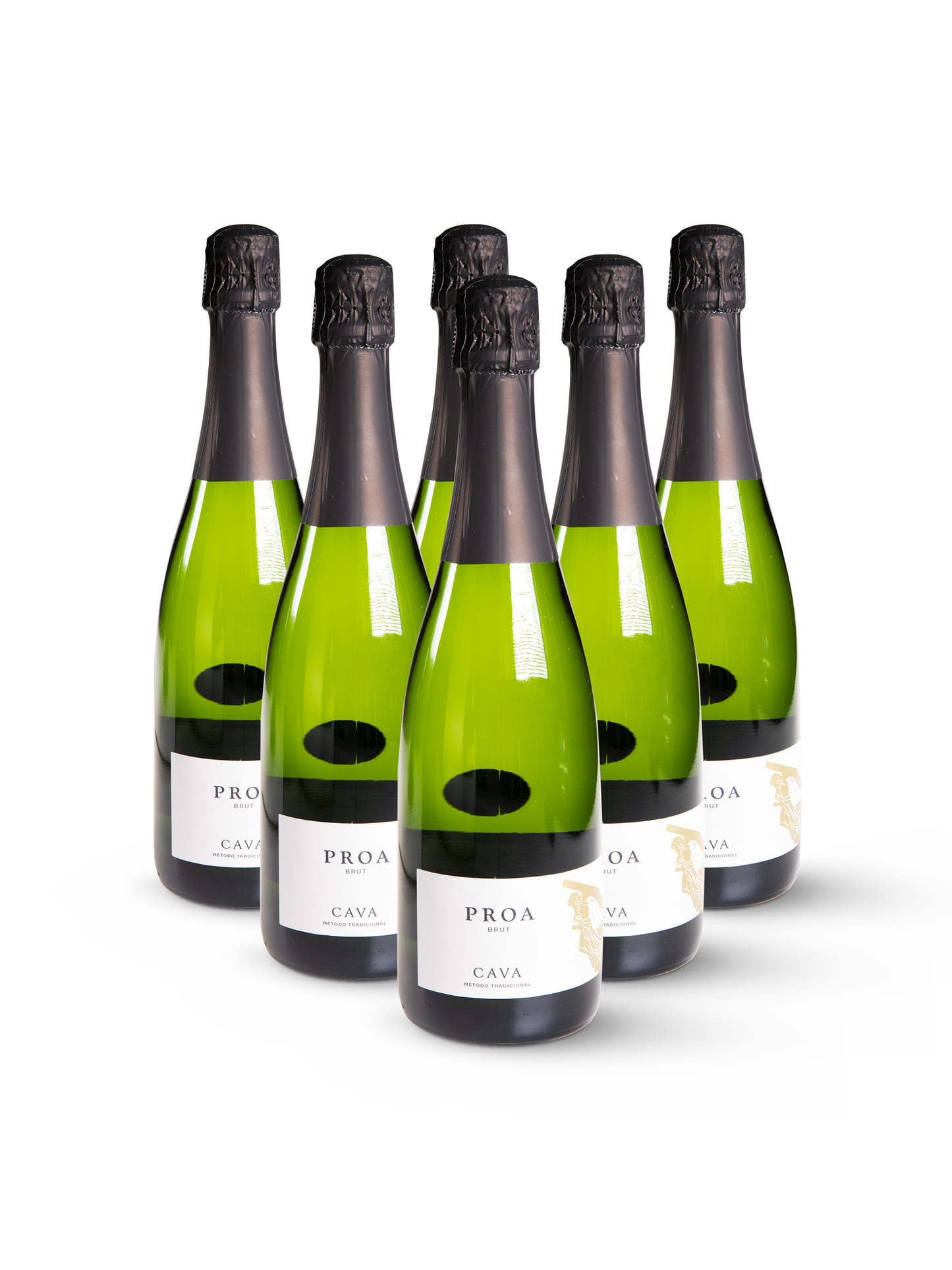 Cava Proa in 6 eleganten Sektflaschen mit goldfarbenem Etikett auf weißem Hintergrund