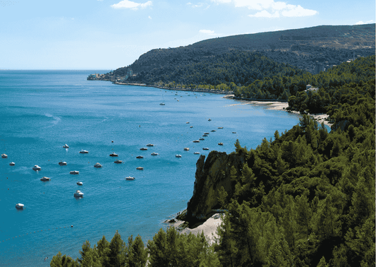 Setubal - Der Wein am Meer Portugals