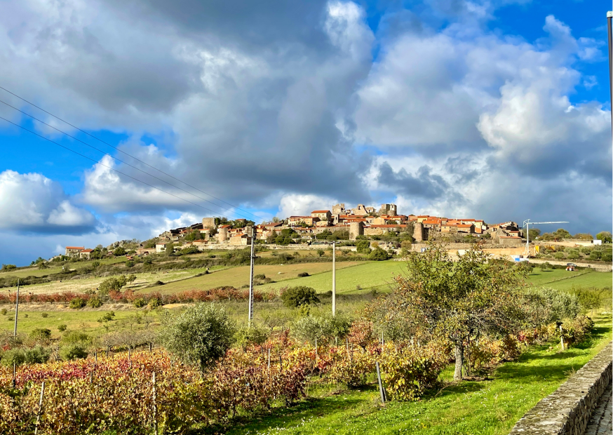 Beira Interior – Wo Portugals Weinberge hoch hinaus wollen