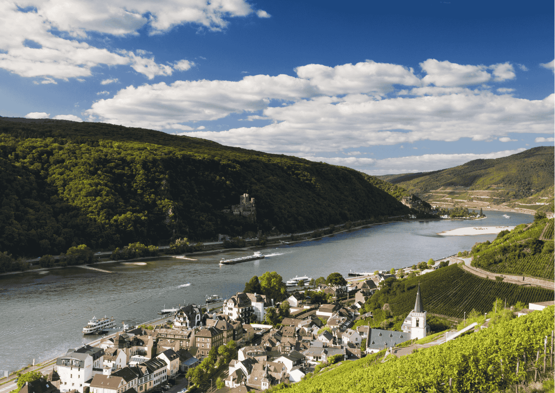 Sachsen – Wein aus Sachsen-Anhalt, der überzeugt
