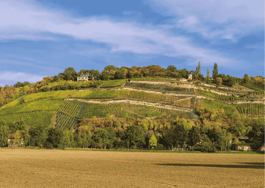 Saale-Unstrut – Das ist Wein mit Geschichte