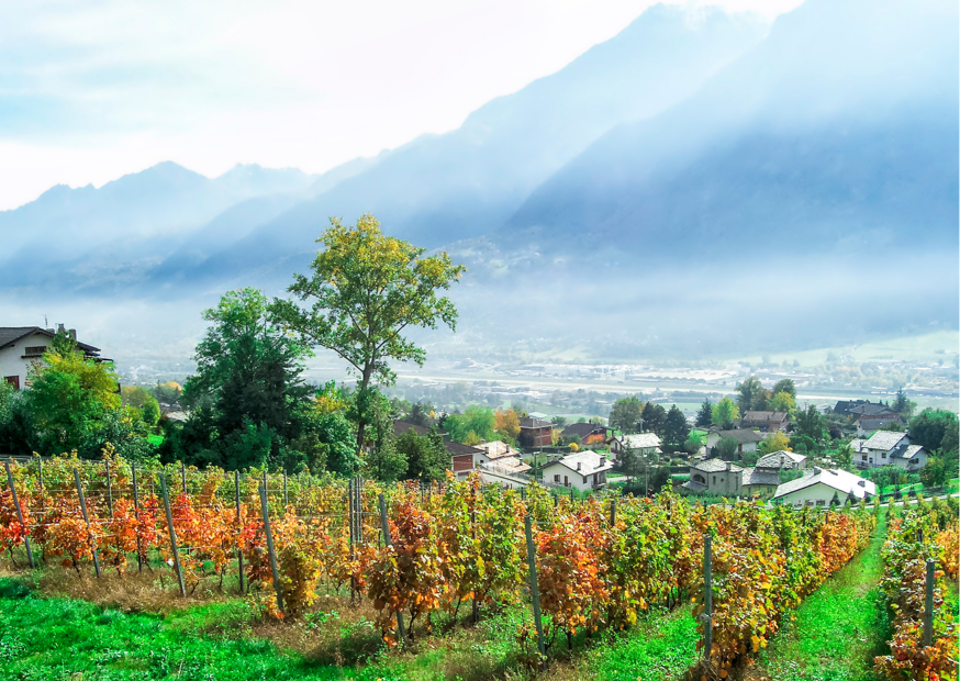 Aosta - Wein aus dem Aostatal in Italien
