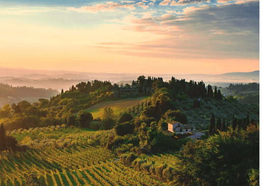 Toskana - Dein Weinurlaub mit Tropfen aus der Toskana