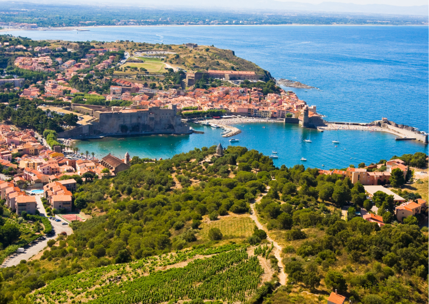 Languedoc-Roussillon – Die einzigartigen Weine aus Languedoc entdecken