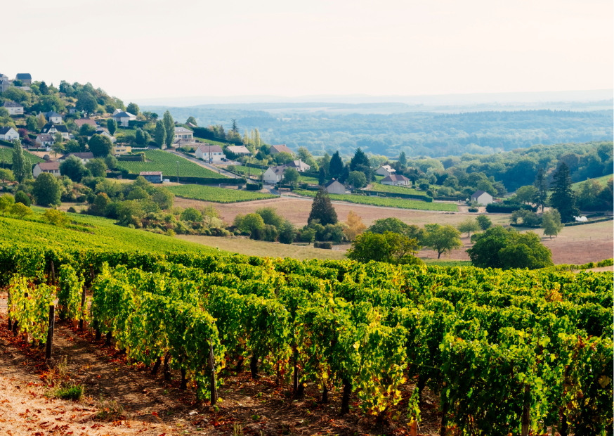 Loiretal – Weine aus der Loire, die zu einem Genussmoment einladen