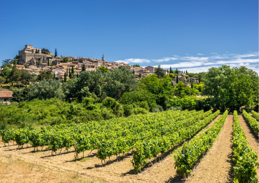 Luberon – Weine aus malerischen Gegenden