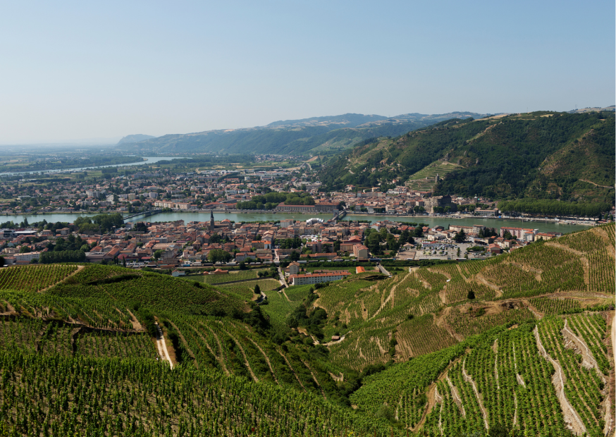 Rhonetal – Die wilde Seele der französischen Weine