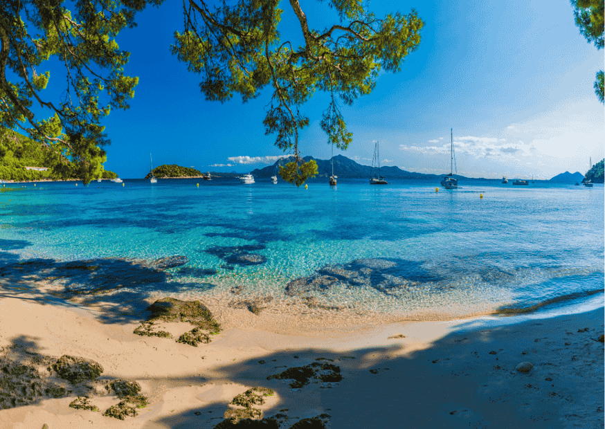 Idyllische Bucht mit Booten und Pinien auf Mallorca. Die Baleareninsel entwickelt sich zur Qualitätsregion für frische, mediterrane Weine.