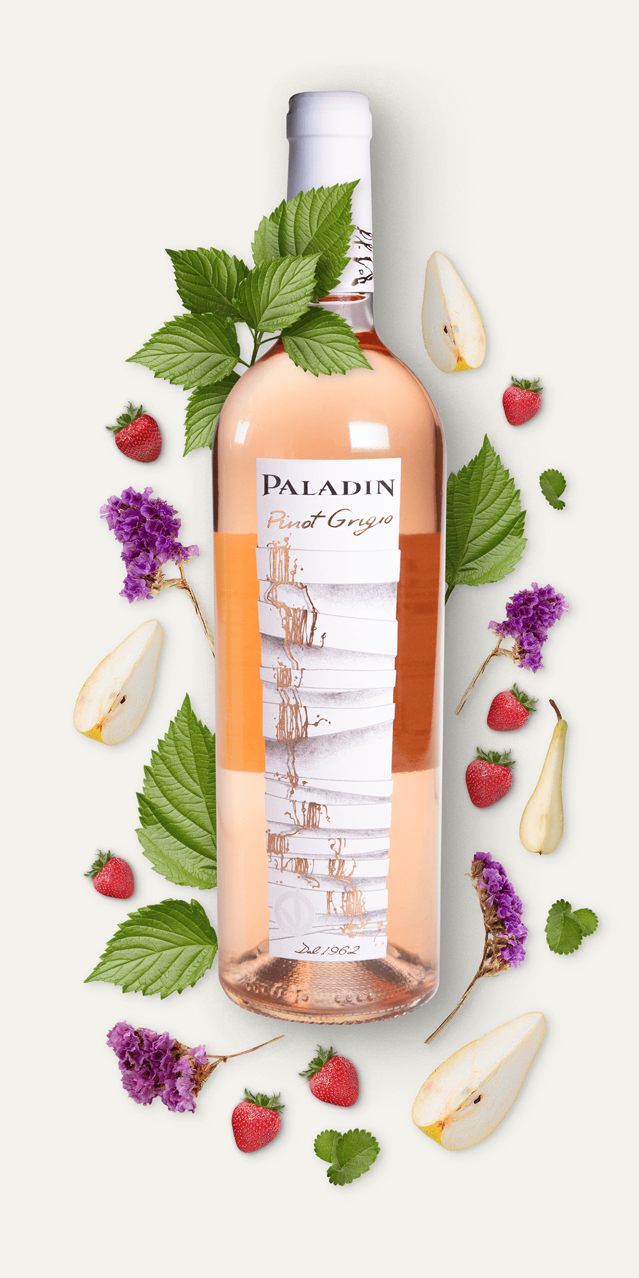 Roséwein - Paladin Pinot Grigio - CorkRebels