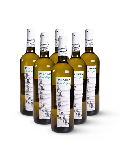Weißwein Paladin Pinot Grigio Blanco in 12 eleganten Flaschen mit goldfarbenem Etikett