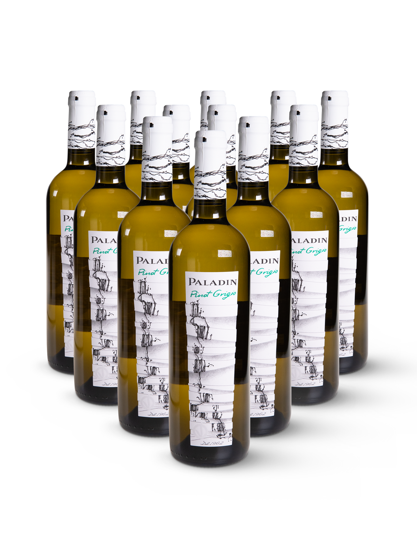 12 Flaschen Pinot Grigio Blanco von Paladin auf weißem Hintergrund stilvoll präsentiert