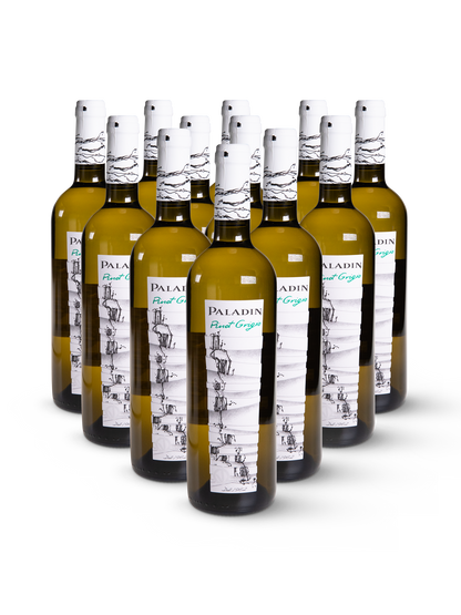 12 Flaschen Pinot Grigio Blanco von Paladin auf weißem Hintergrund stilvoll präsentiert