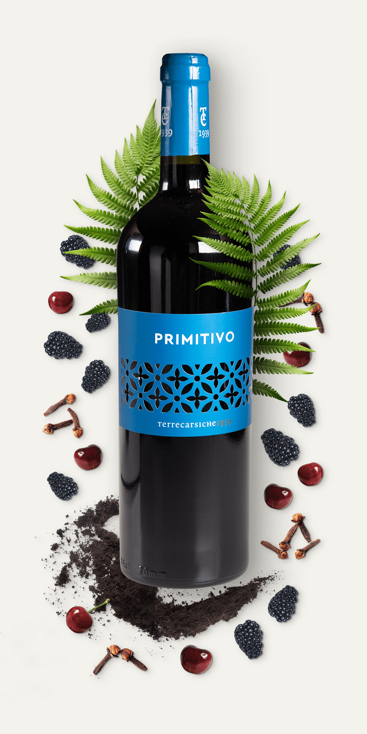 Rotwein -Primitivo Terrecarsiche - CorkRebels