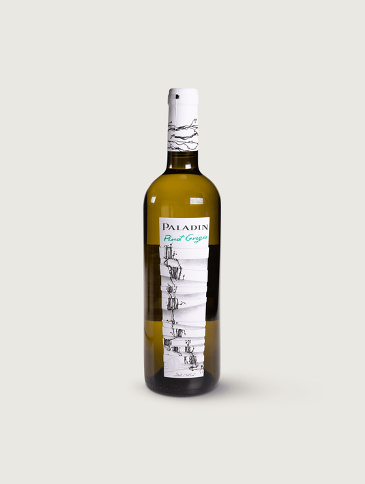 Weißwein - CorkRebels - Paladin Pinot Grigio