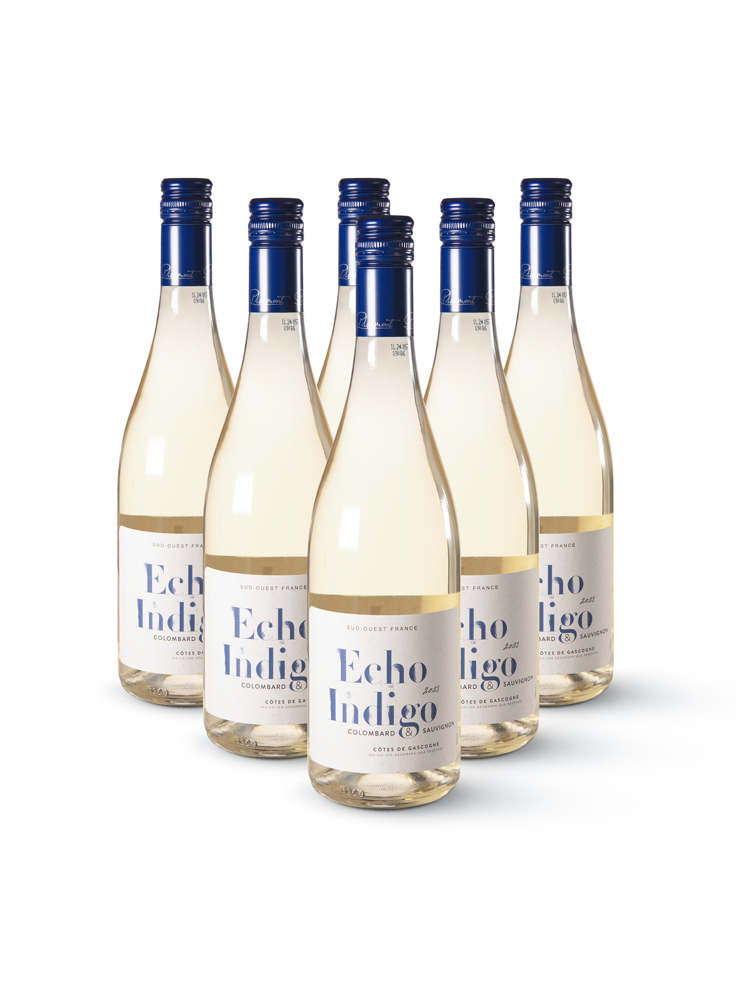 Weißwein Echo Indigo Sauvignon in 6 stilvollen Flaschen mit farbigem Etikett in Blaugrün