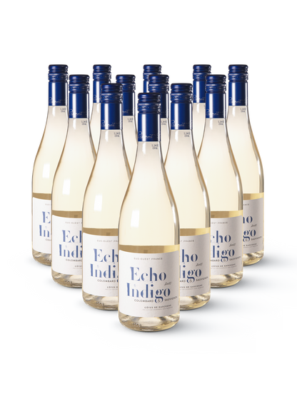 Echo Indigo Sauvignon – 12 stilvolle Flaschen mit farbenfrohem, abstraktem Etikett