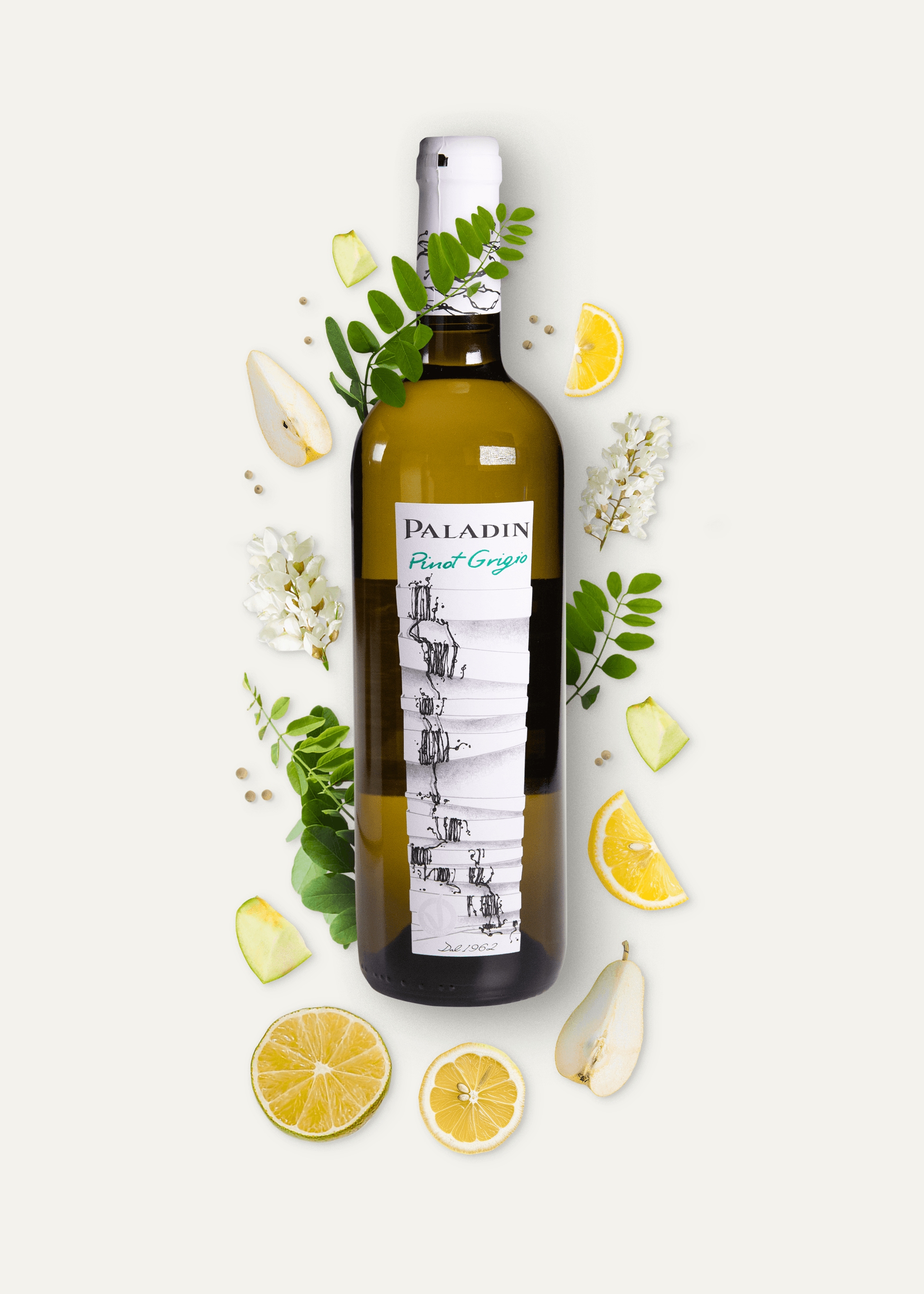 Paladin Pinot Grigio - Weißwein - CorkRebels