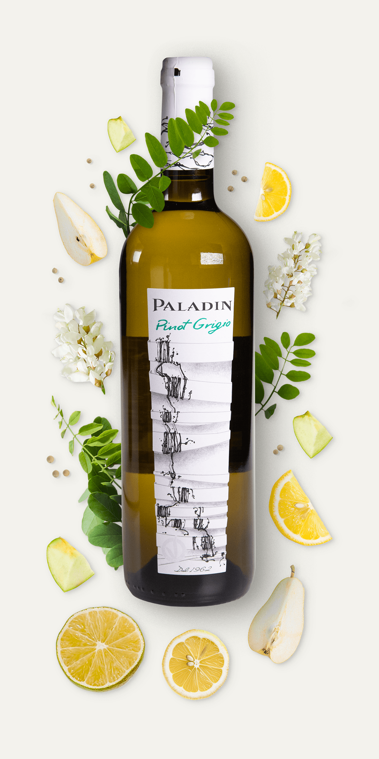 Weißwein - Paladin Pinot Grigio - Corkrebels
