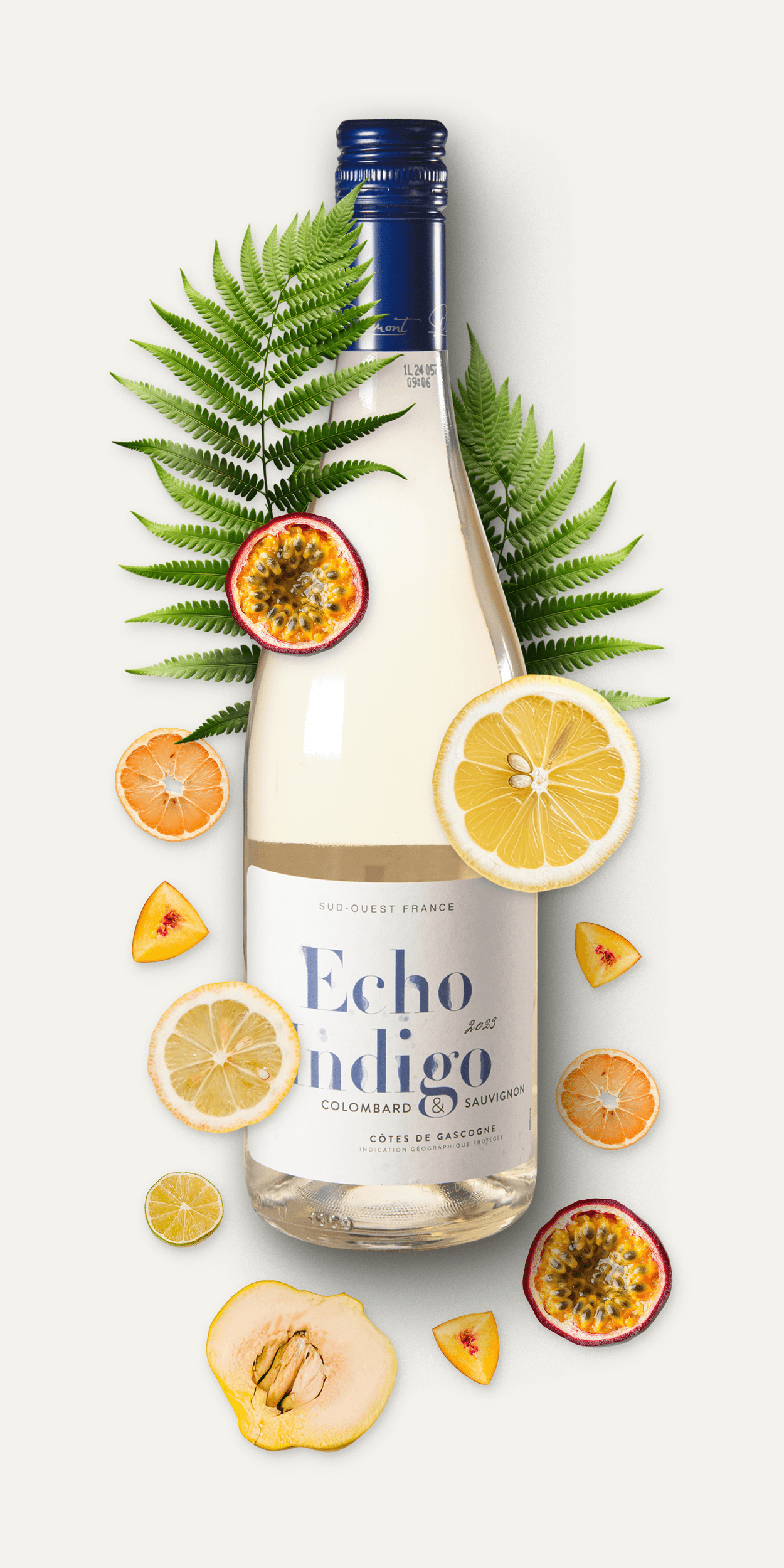 Echo indigo Sauvignon Blanc Weißwein mit Zutaten (Zitrusfrüchte, Passionsfrucht, Quitte)