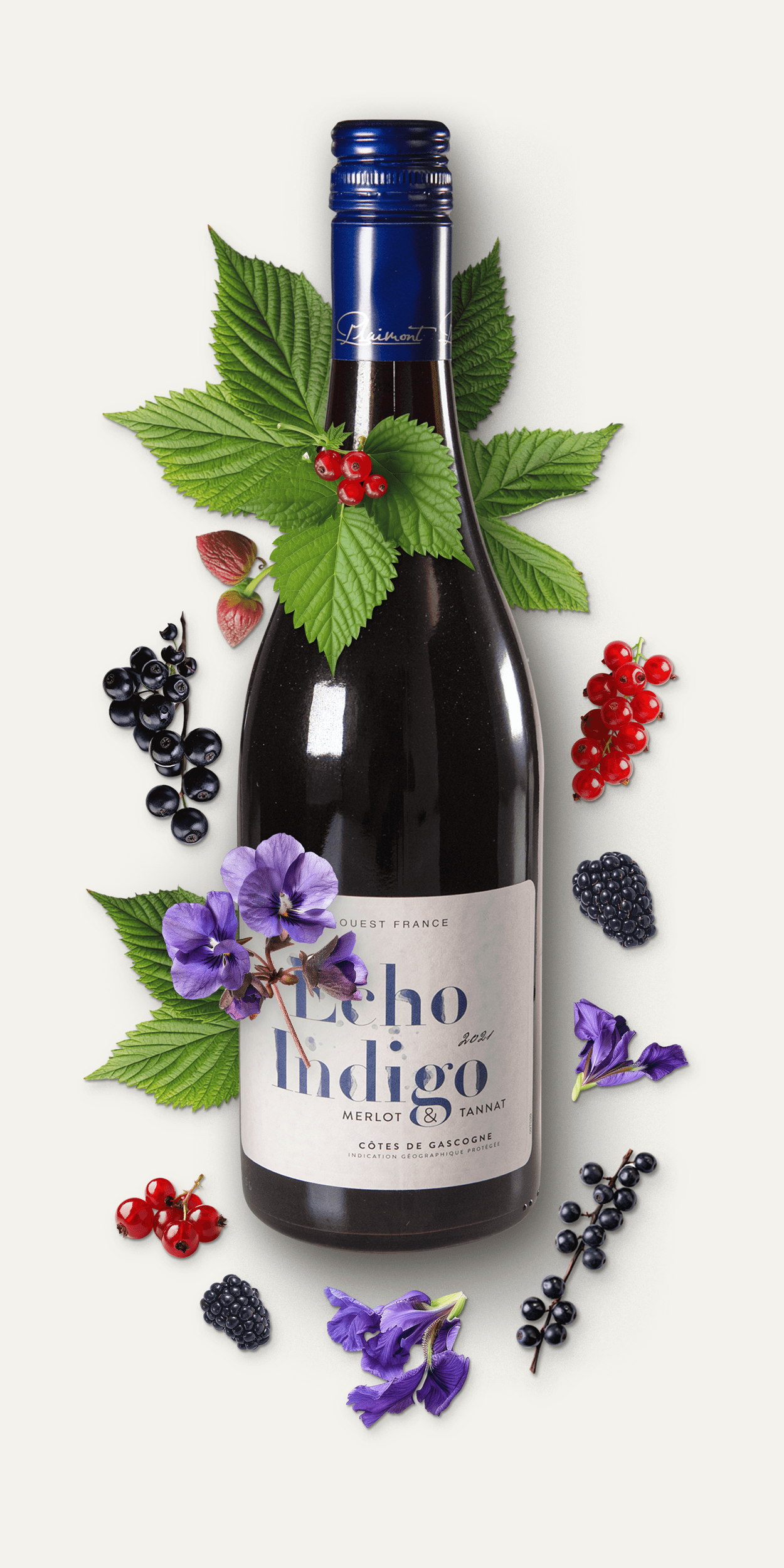 Echo Indigo Rouge Rotwein mit Zutaten (rot Früchte, Veilchen, Johannisbeeren)