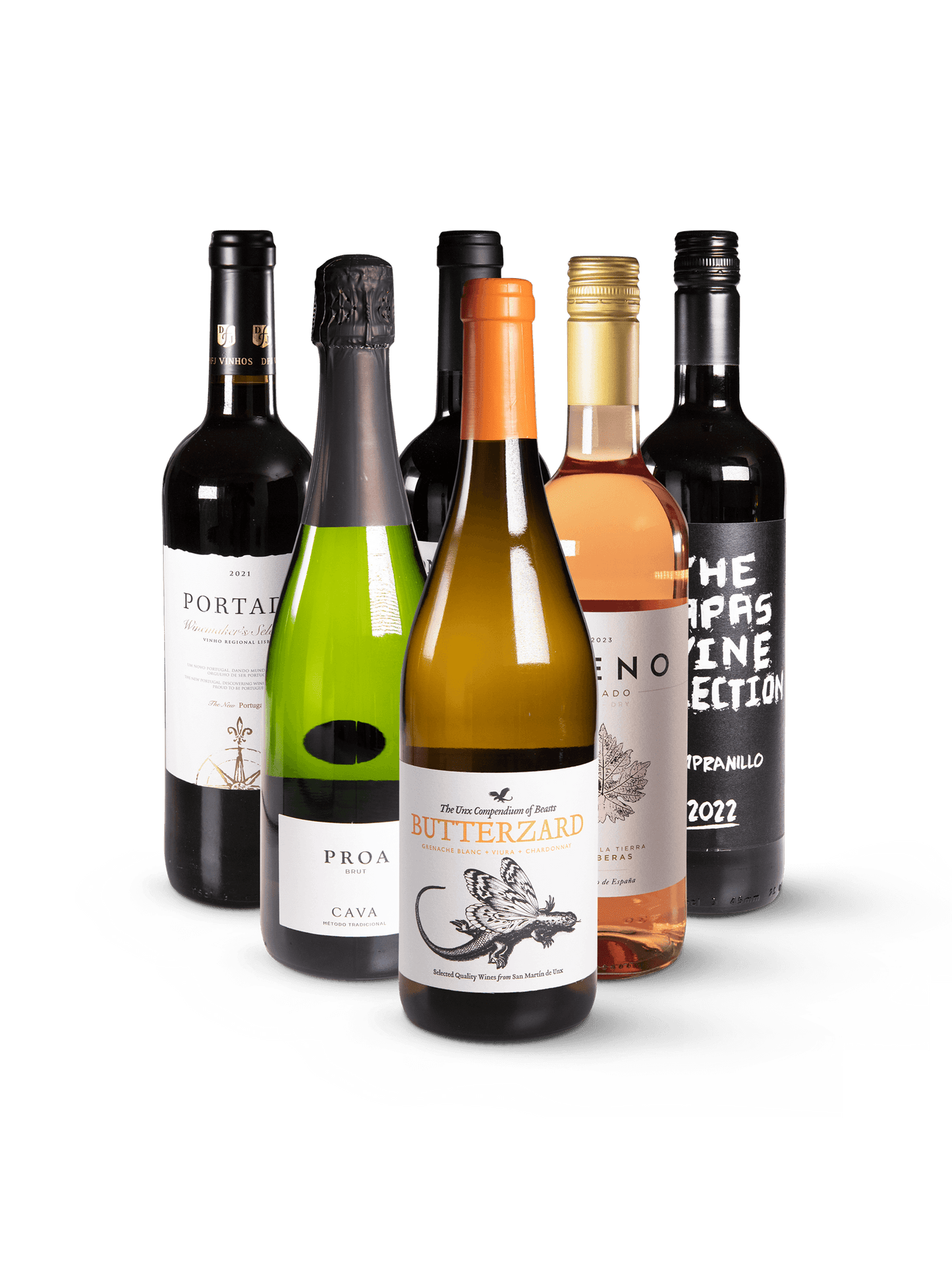 Festtags Wein-Paket - 6 unterschiedliche Weine