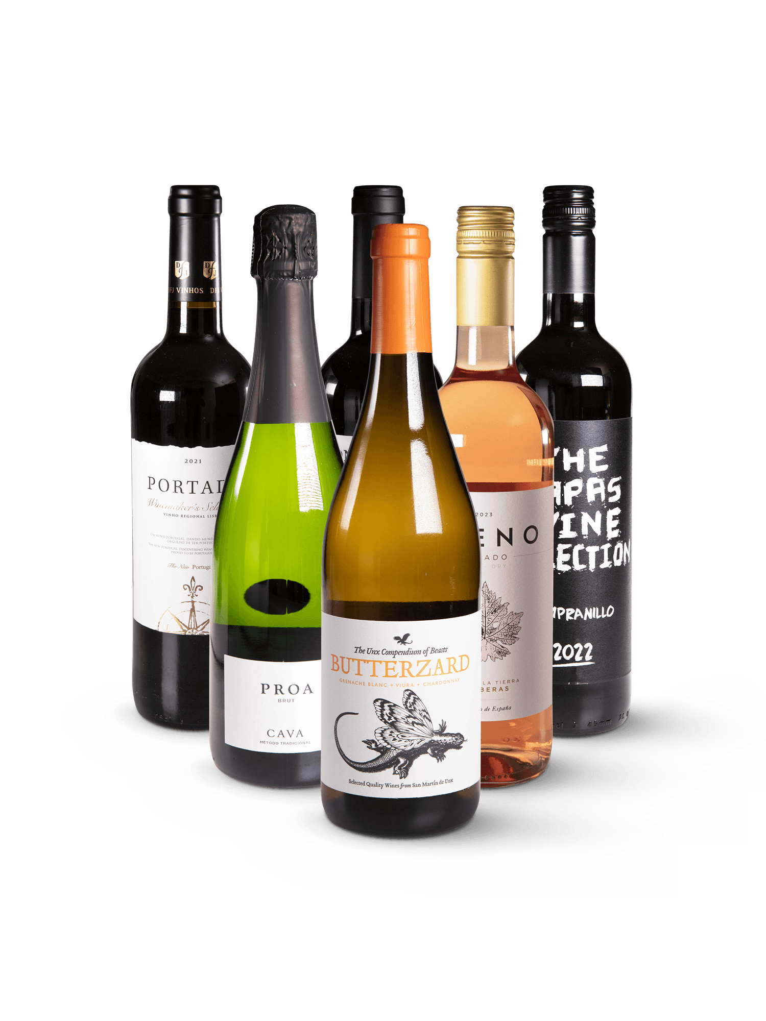 Festtags Wein-Paket - 6 unterschiedliche Weine