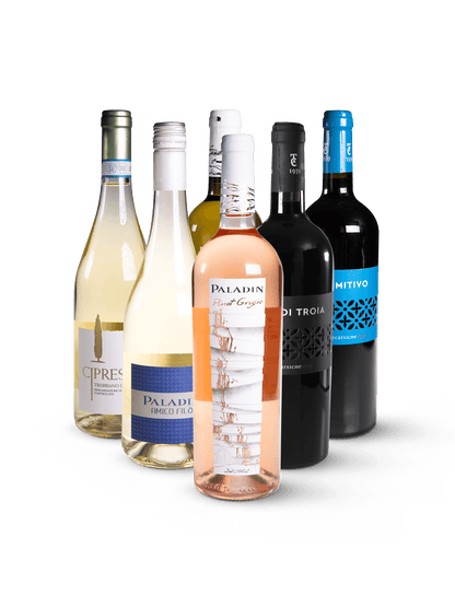 Italienische Auszeit Wein-Paket - 6 verschiedene Weine