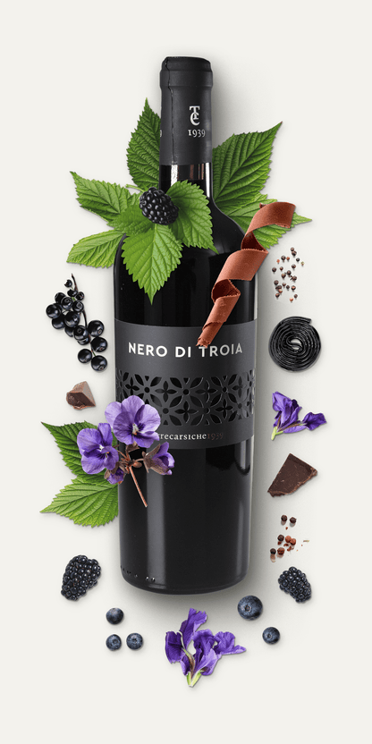 Nero di Troia Terrecarsiche Rotwein mit Zutaten (Schokolade, rote Früchte, Veilchen)