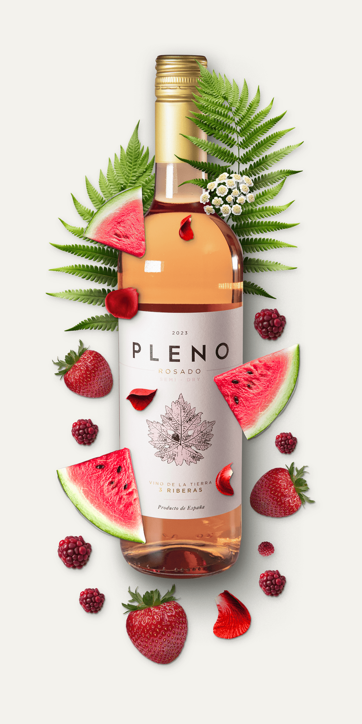 Pleno Rosado Roséwein mit Zutaten (rote Früchte, Melone)