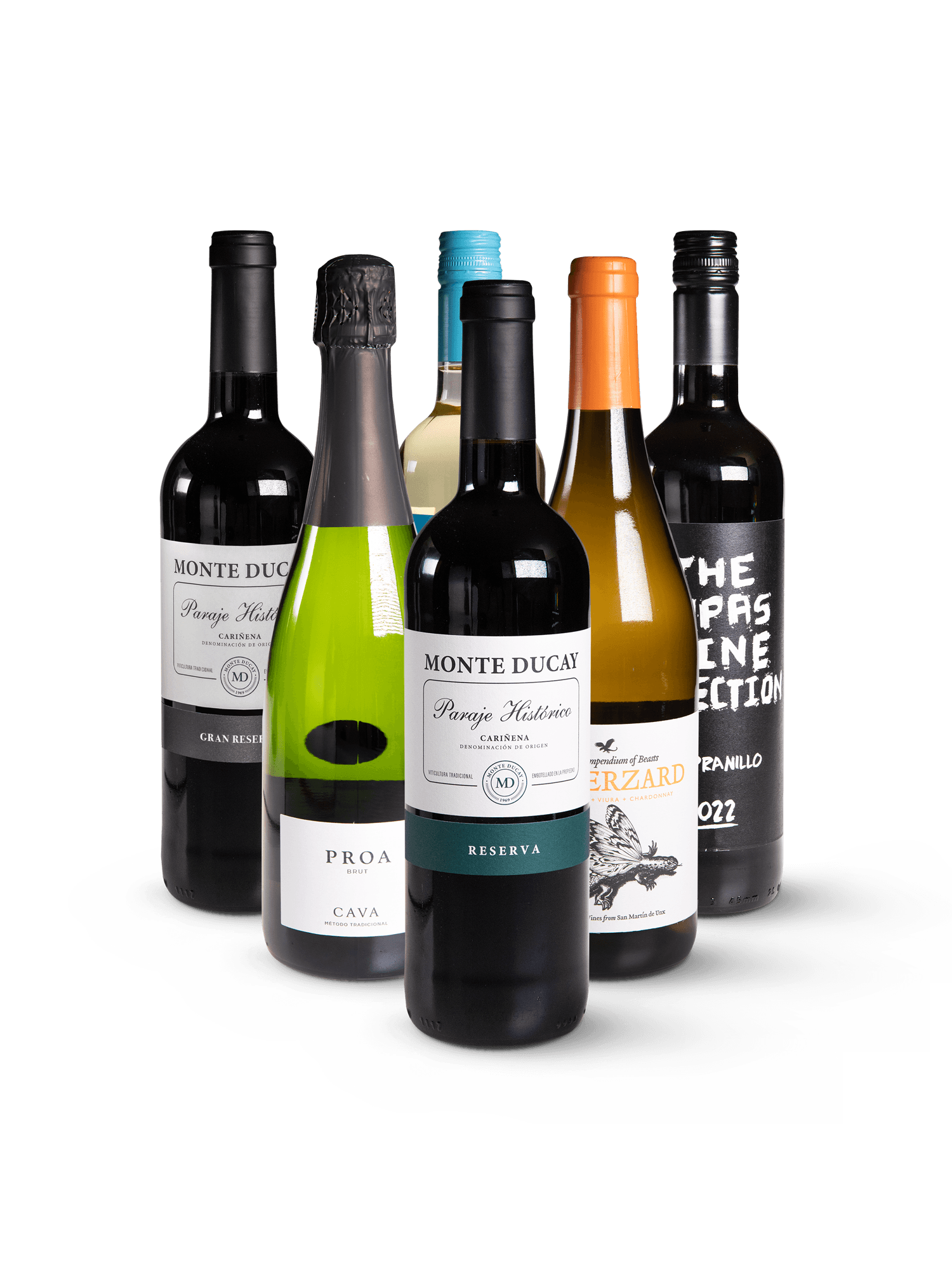 Spanien im Glas Wein-Paket - 6 unterschiedliche Weine