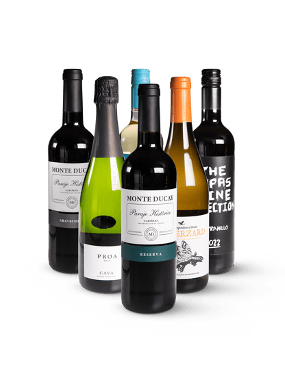 Spanien im Glas Wein-Paket - 6 unterschiedliche Weine